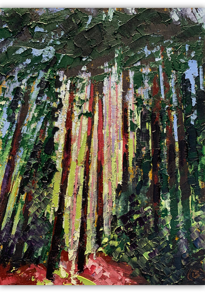 Redwoods Sunshine, 9"x12"